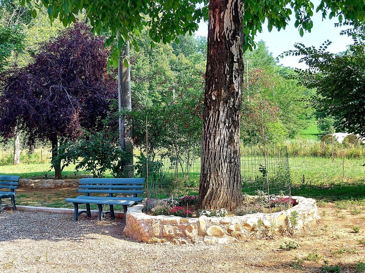 Agriturismo Azienda Agricola Ferrari M.Rita Pozza Exterior foto